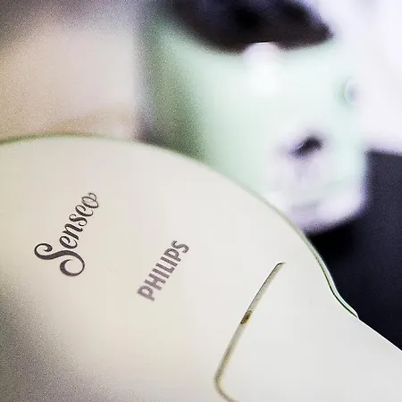 Appartement - L'atelier - Centre Historique - Authentique - Souplex *