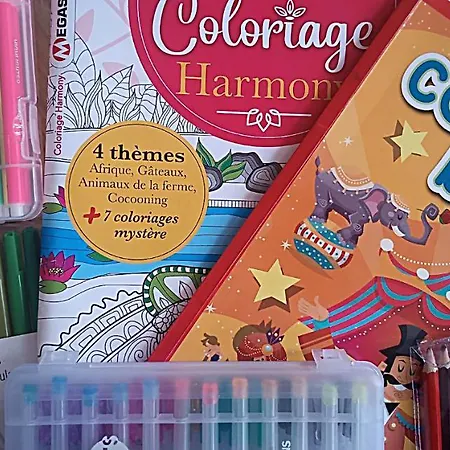 - L'atelier - Centre Historique - Authentique - Souplex Appartement *